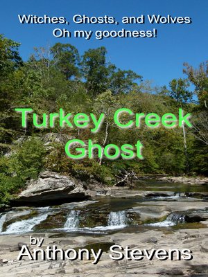 cover image of Turkey Creek Ghost